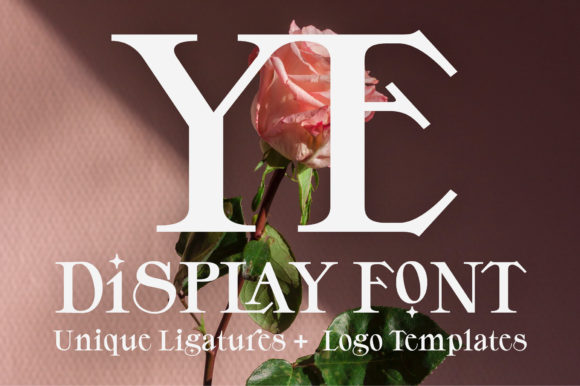 YE Font Review: A Premium Display Type for Creative Projects